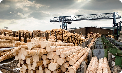 1-Phase 220V to 3-phase 380V VFD for wood processing